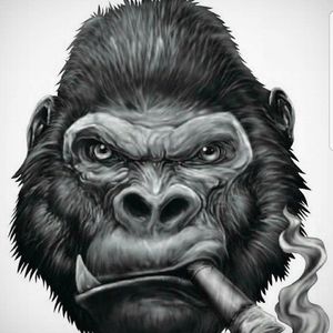 Meet your Posher, Jerry